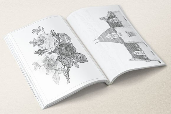 Reviving Nostalgia: The Enduring Charm of the Vintage Colouring Book